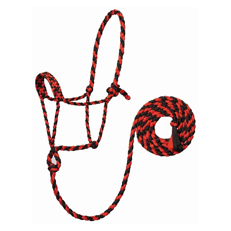 Red and black braided rope halter with attached lead rope.