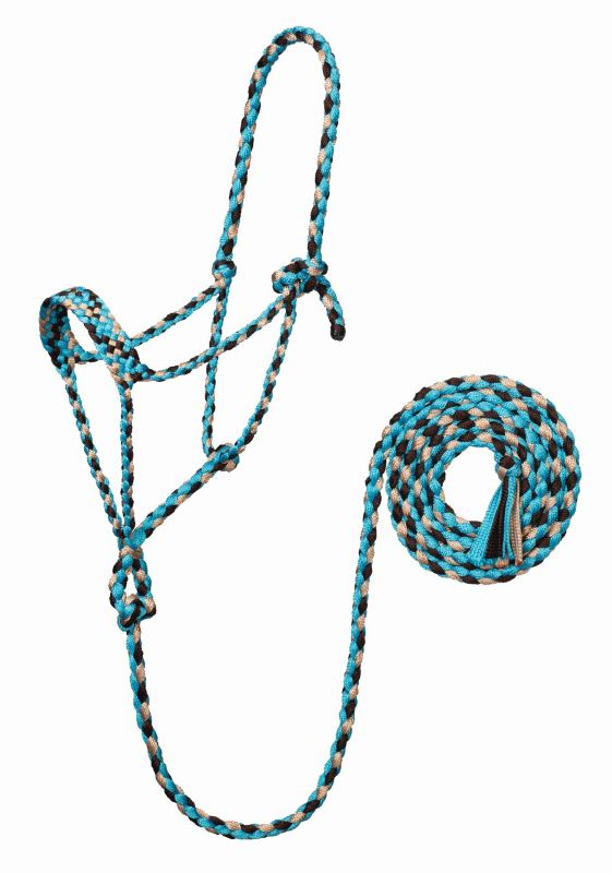 Blue and black braided rope halter with coiled lead rope.