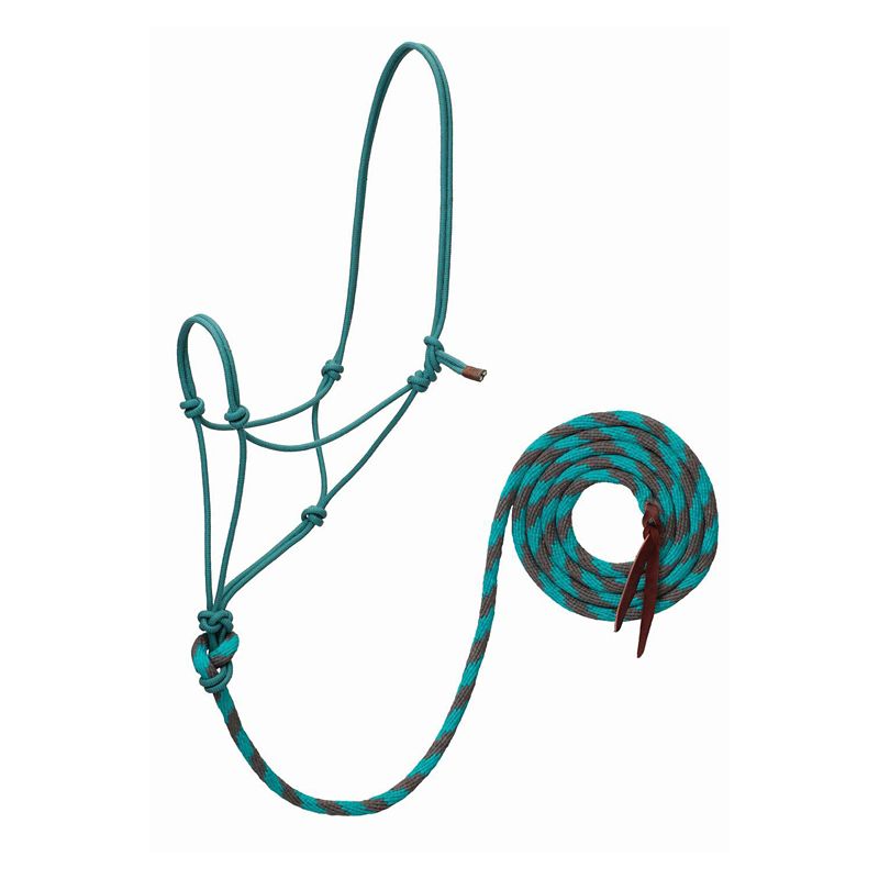 Teal rope halter with a coiled blue and brown lead.