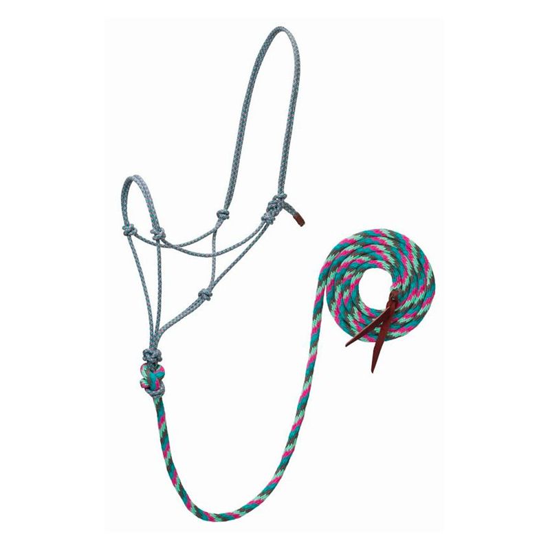 Gray rope halter with colorful green-pink leash attached.