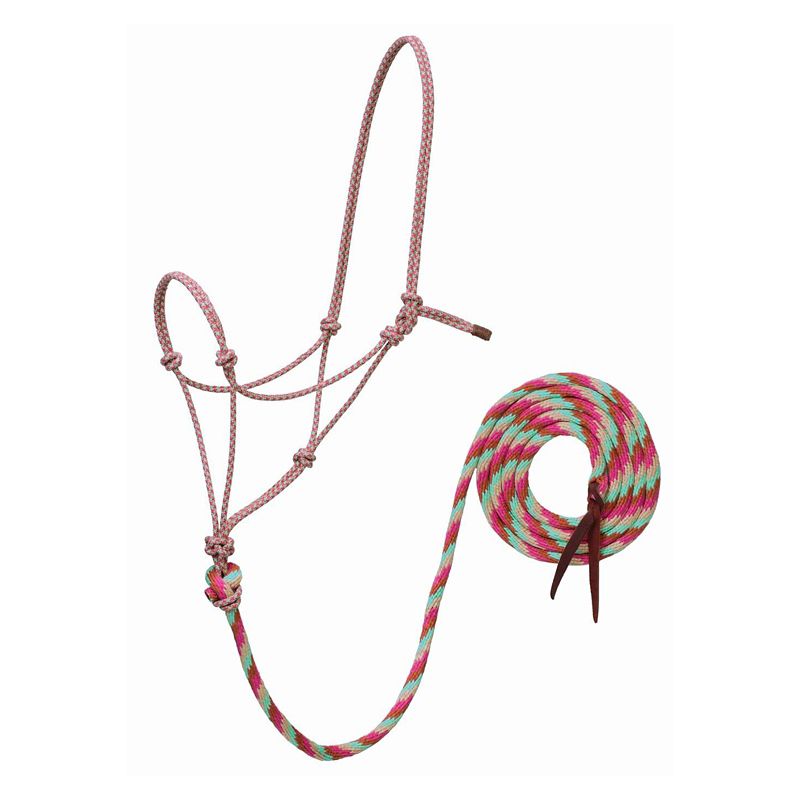 Pink rope halter with multicolored lead rope coiled neatly.