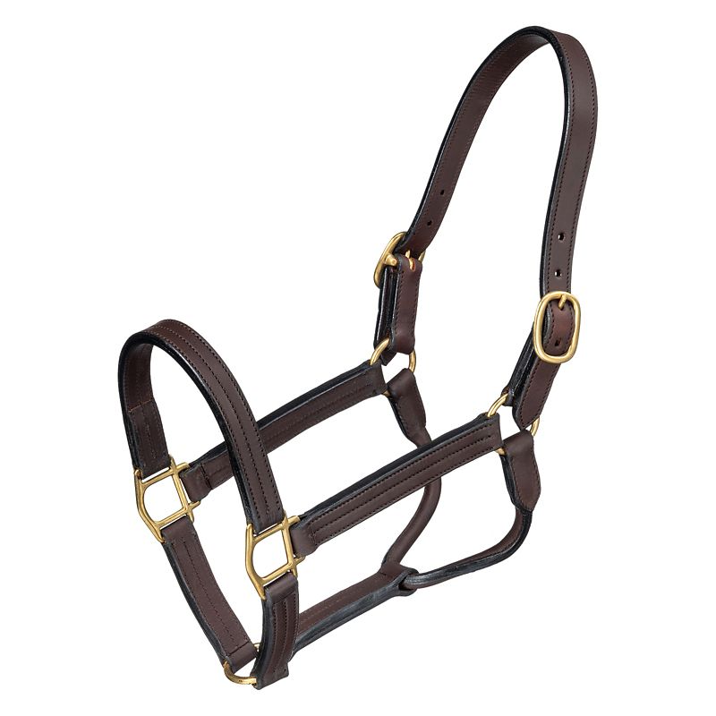 Royal King Premium Leather Halter Snap Dark Oil