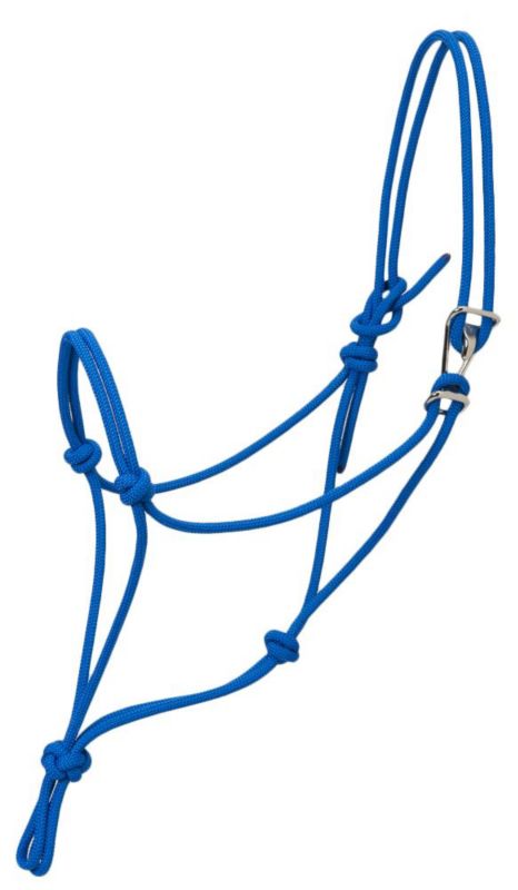 Blue rope halter with knots and metal buckle detail.