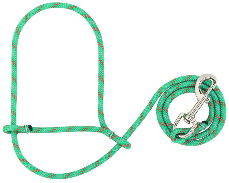 Green rope halter with silver hardware, red accents, coiled lead.