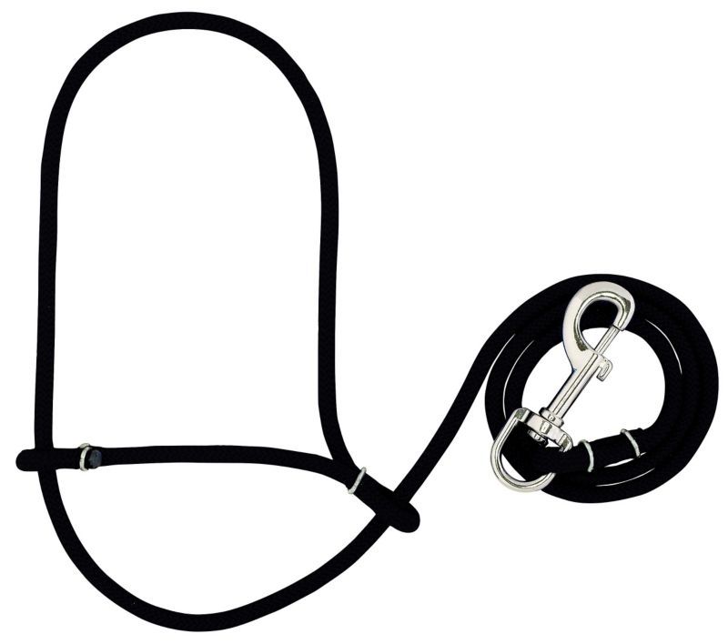 Black rope halter with a silver clip attached.