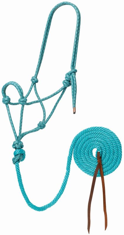 Turquoise rope halter with attached lead rope and knots.