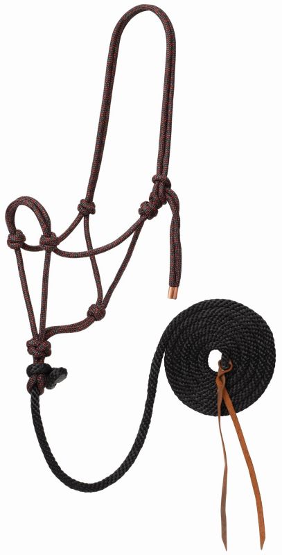 Brown and black rope halter with coiled lead rope.