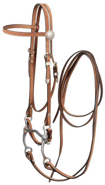 Horse Roughout Browband Western Bridle Horse