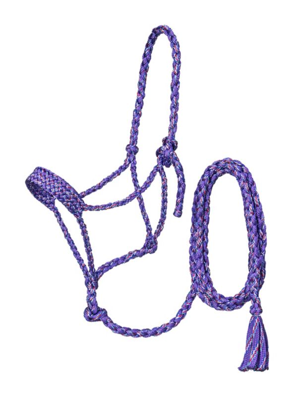 Purple and blue braided rope halter with lead rope.