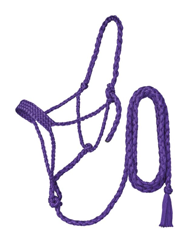 Purple braided rope halter with attached lead rope shown.