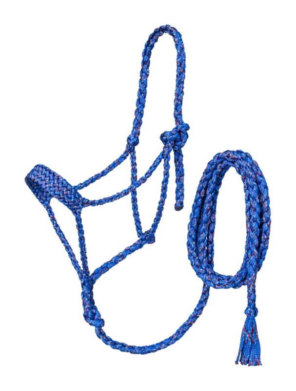 Blue braided rope halter with lead, equestrian tack equipment.