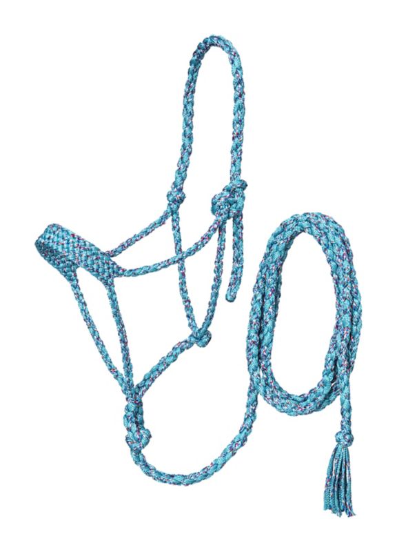 Blue and purple braided rope halter with lead rope attached.