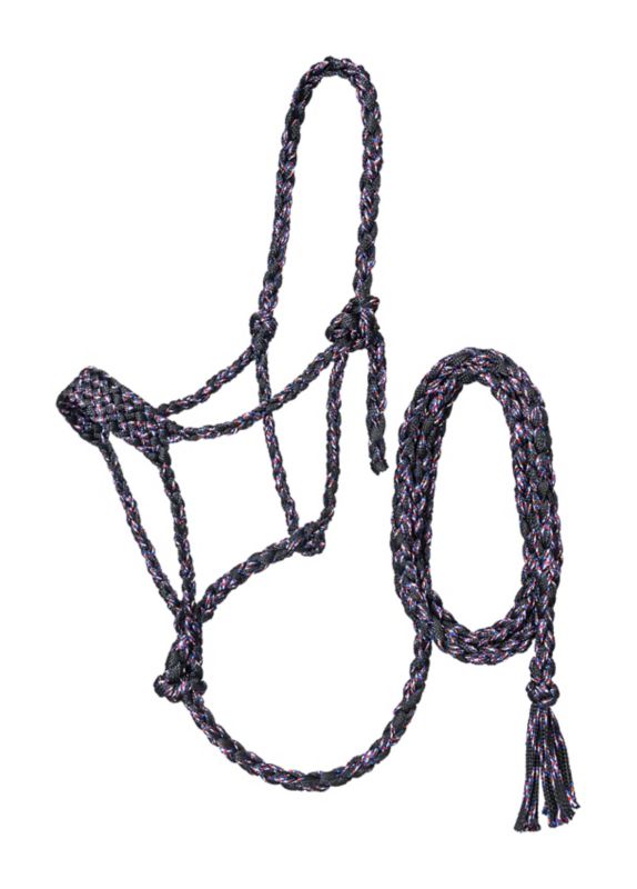 Black and purple braided rope halter for horses.