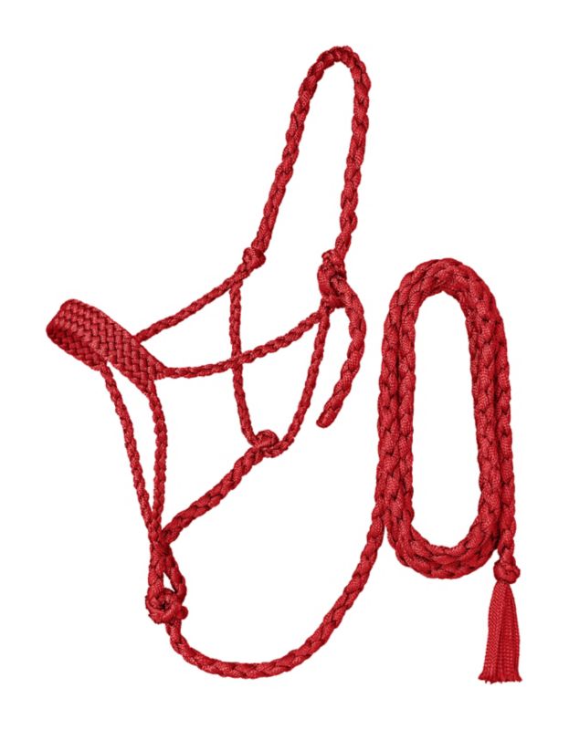 Red rope halter with lead rope against a white background.