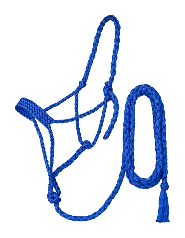 Blue rope halter for horses, displayed against white background.