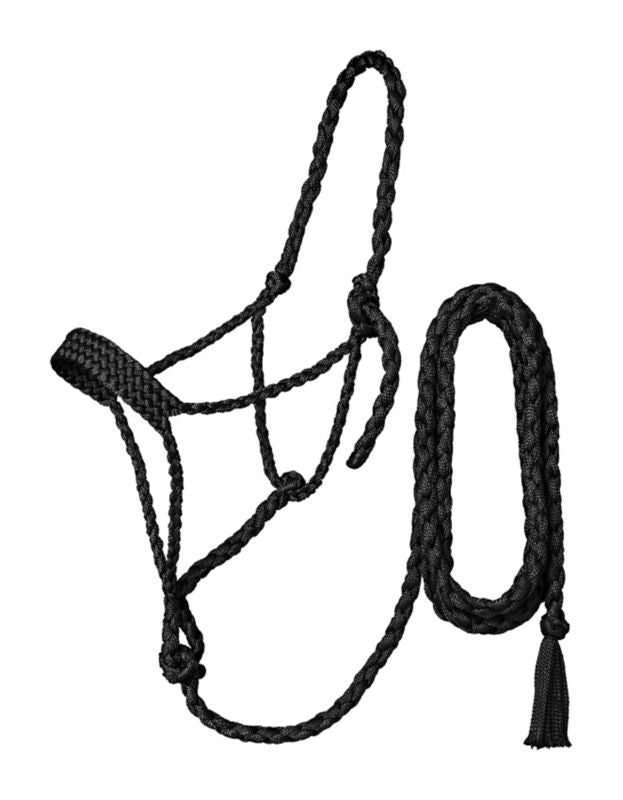 Black rope halter with attached lead rope, plain background.