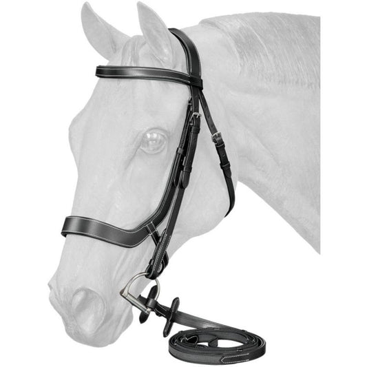 Black leather English bridle on a horse illustration.