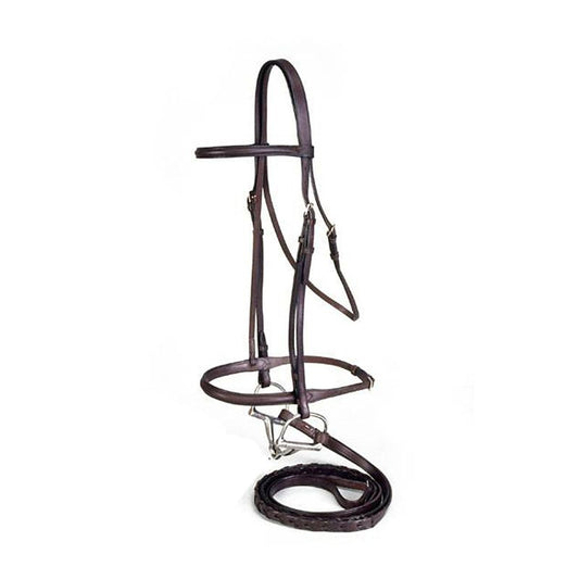 Brown leather English bridle with reins and metal bit.