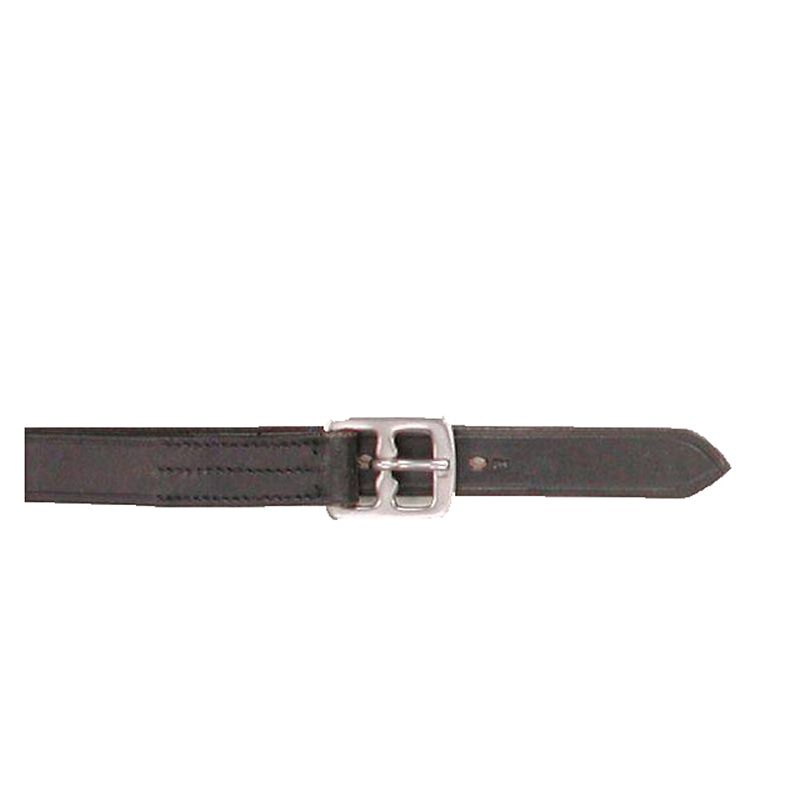 Black stirrup leathers with silver buckle on white background.