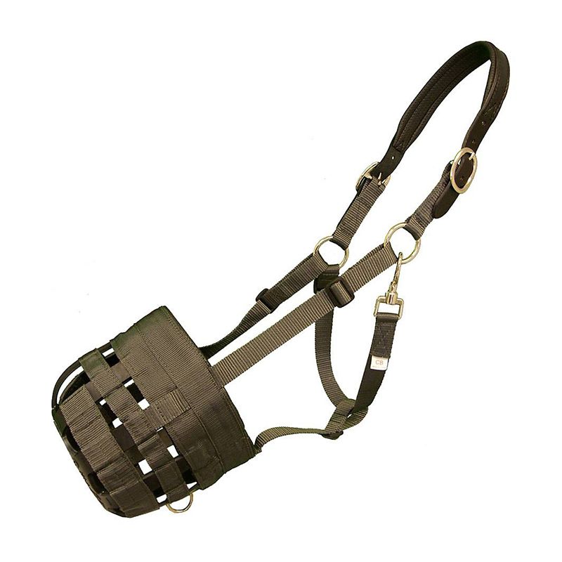 Best Friend Padded Leather Crown Grazing Muzzle Co