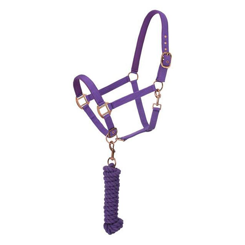 Purple rope halter with metal buckles, attached lead rope.