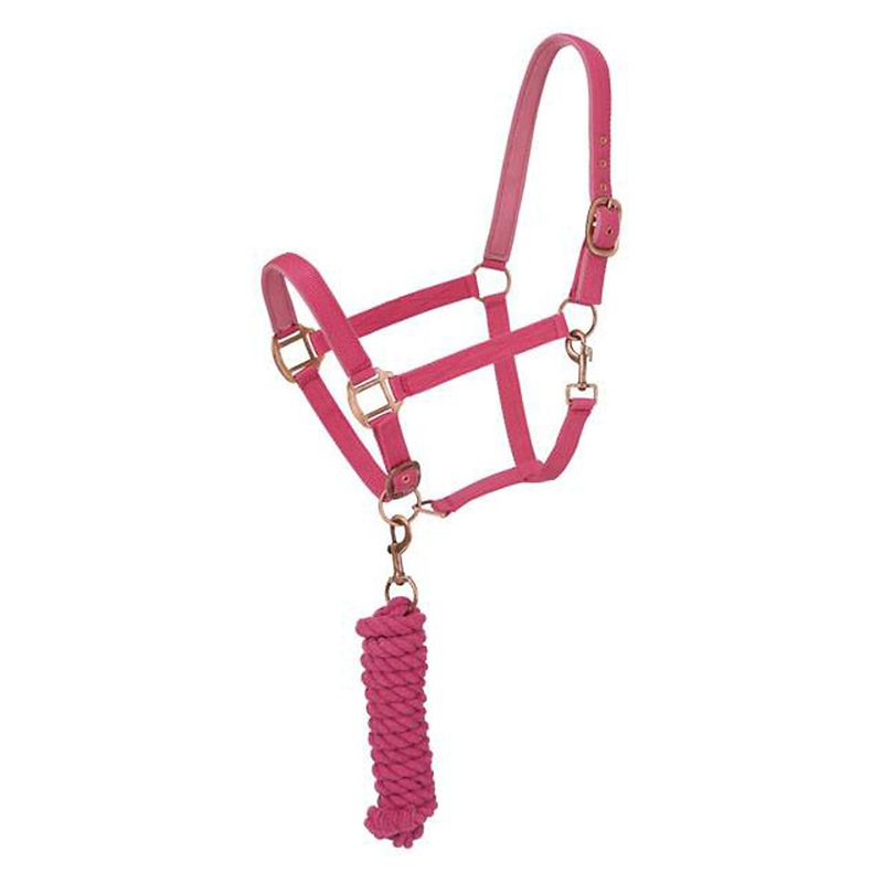 Pink rope halter with brass fittings and lead rope.