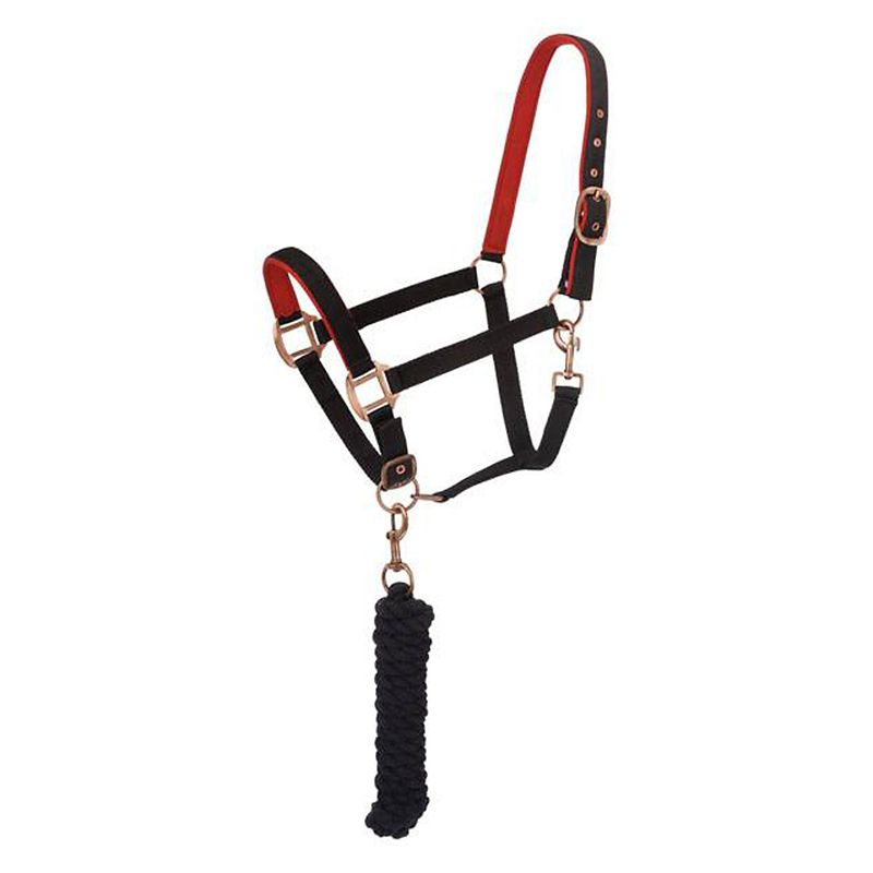 Red and black rope halter with brass-colored fittings.