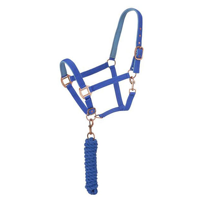 Blue rope halter with metal buckles and attached lead rope.