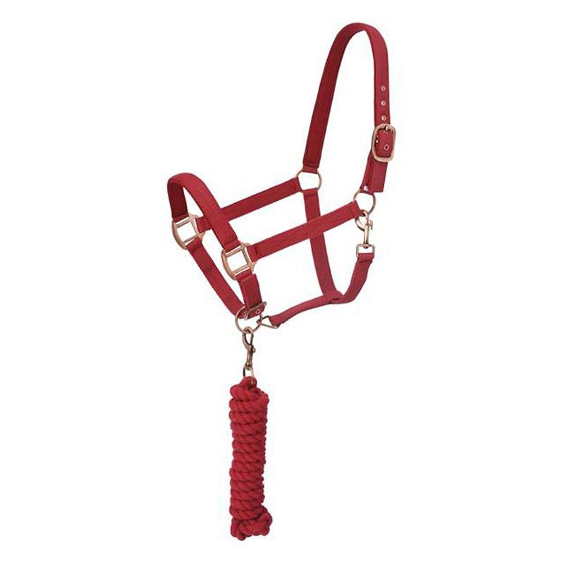 Red rope halter with lead rope, featuring metal buckles.