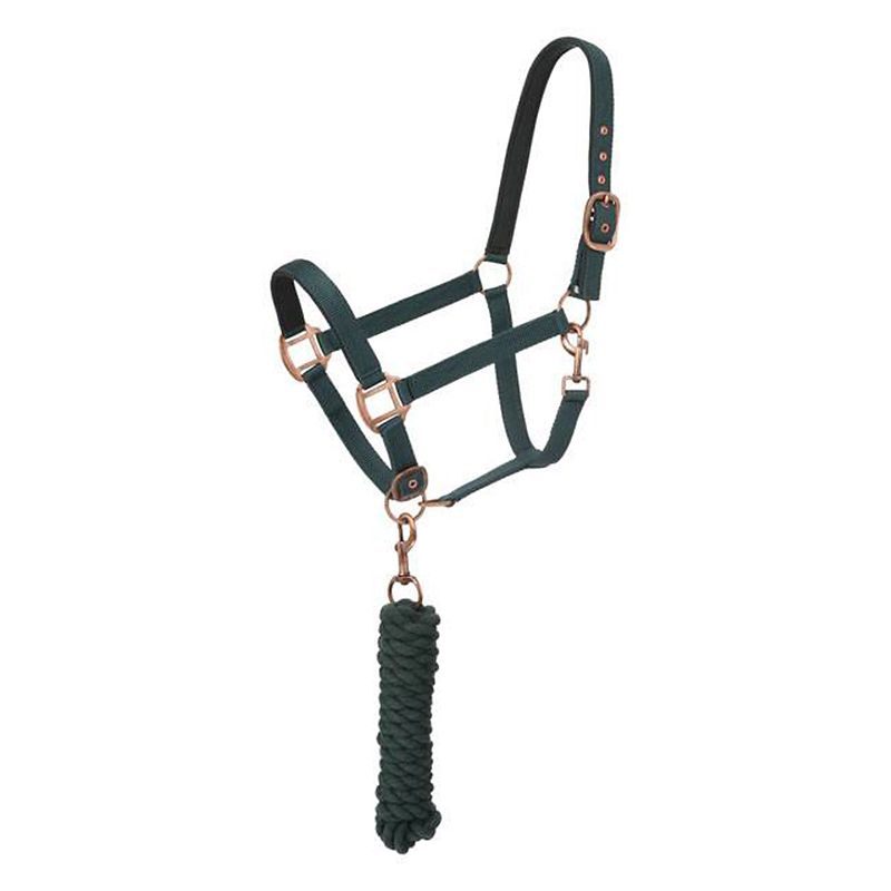 Green rope halter with metallic buckles and a lead rope.