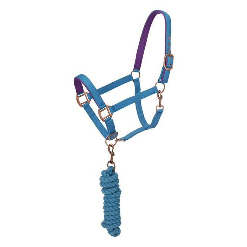 Blue and purple rope halter with attached lead rope.