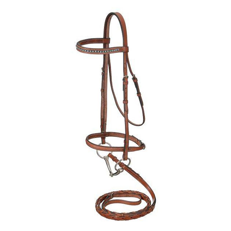 Brown leather English bridle with decorative browband and reins.