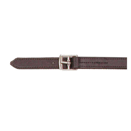 Brown stirrup leather with metal buckle, equestrian tack.