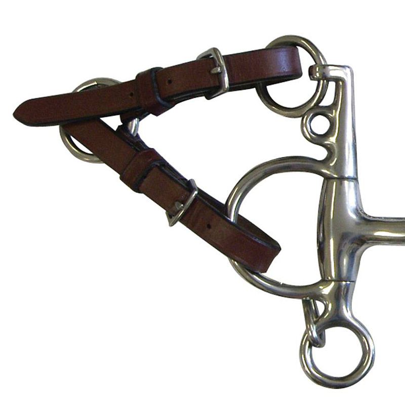 Shiny pelham bit with brown leather straps, metal rings.