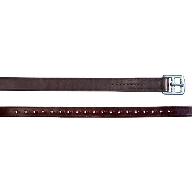 Brown stirrup leathers with silver buckle and adjustment holes.