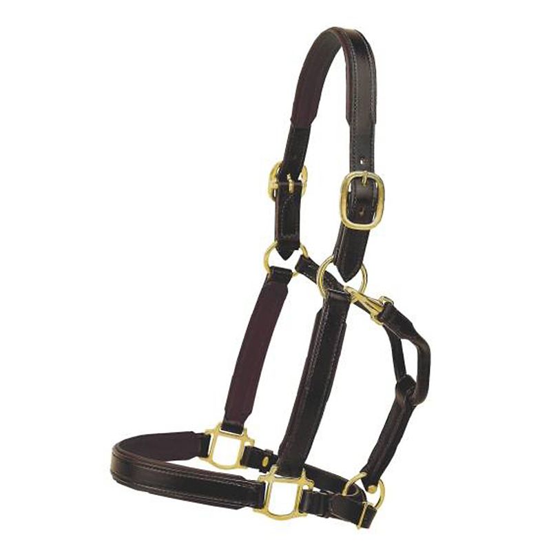 Tory Leather 1in Padded Halter w/Brass Hardware Wa