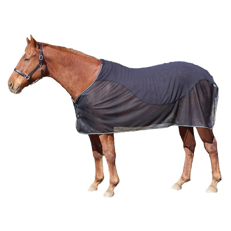 Chestnut horse wearing a black Tuffrider branded blanket isolated on white.