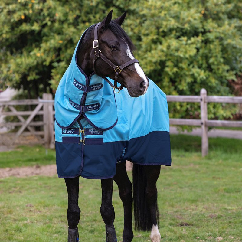 Horse in blue Horseware blanket standing outdoors near a fence.