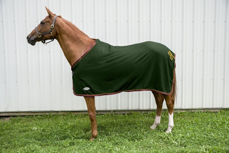 Horse wearing a green cooler blanket in front yard.