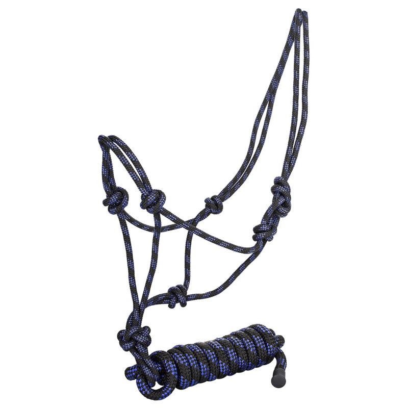 Blue and black rope halter with intricate knot design.