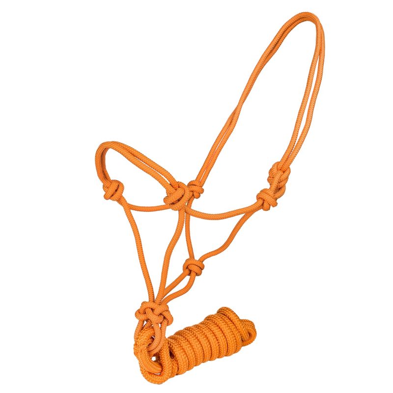 Orange rope halter with multiple knots, against white background.