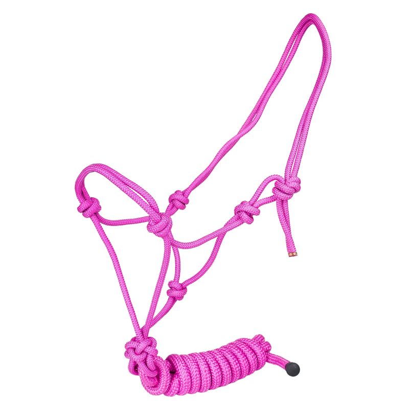 Bright pink rope halter with intricate knot design.