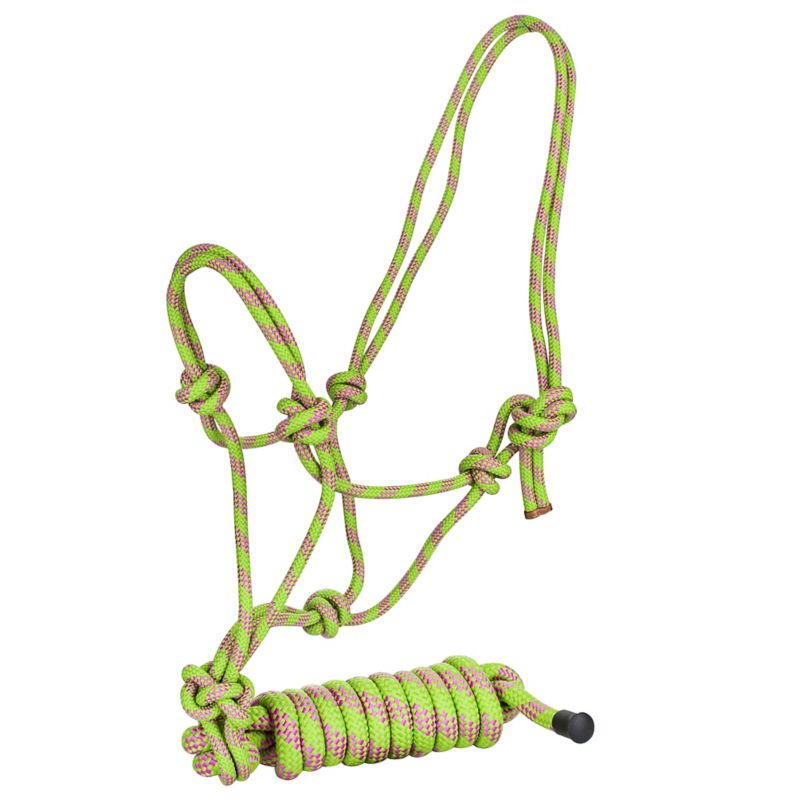 Green and pink rope halter with intricate knot design.