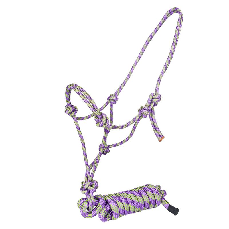 Purple and green braided rope halter with attached lead rope.