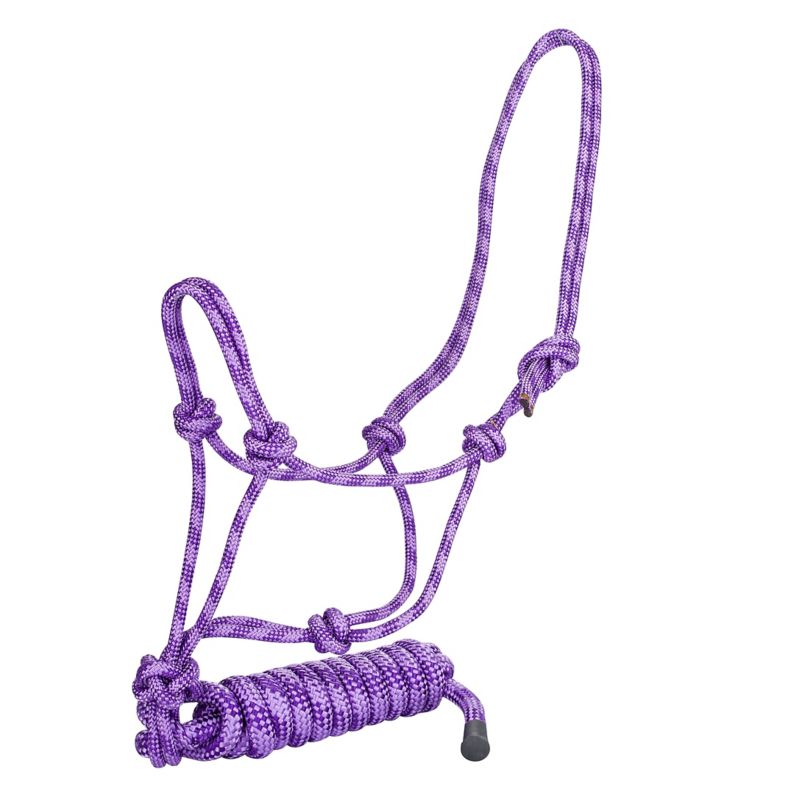 Purple rope halter with knots, coiled lead rope attached.