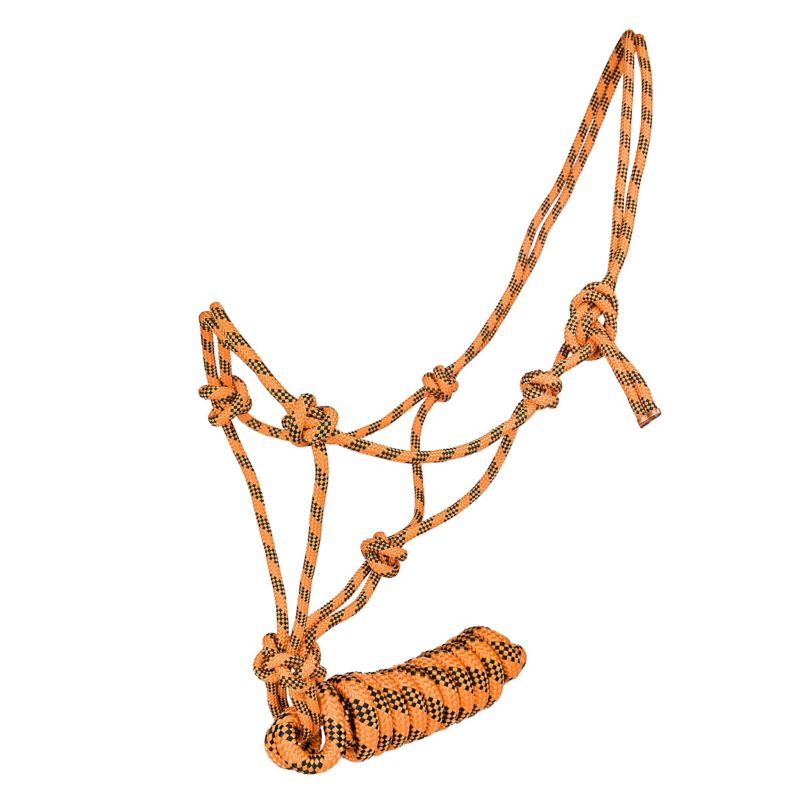 Orange and black rope halter with multiple knots displayed.