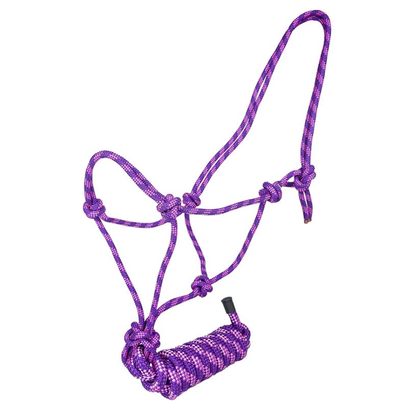 Purple and pink rope halter with multiple knots.