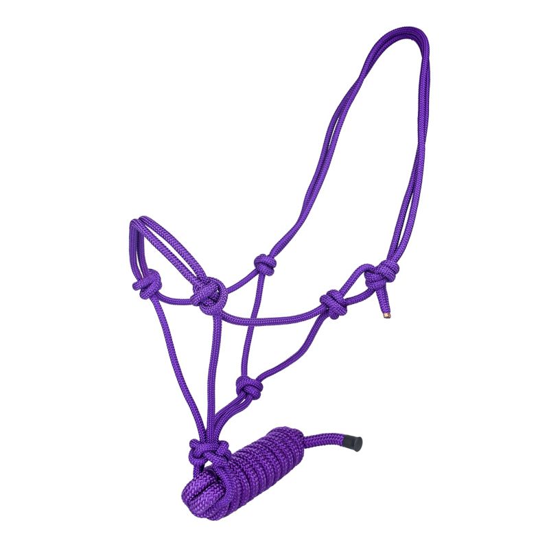 Purple rope halter with multiple knots and loops displayed.