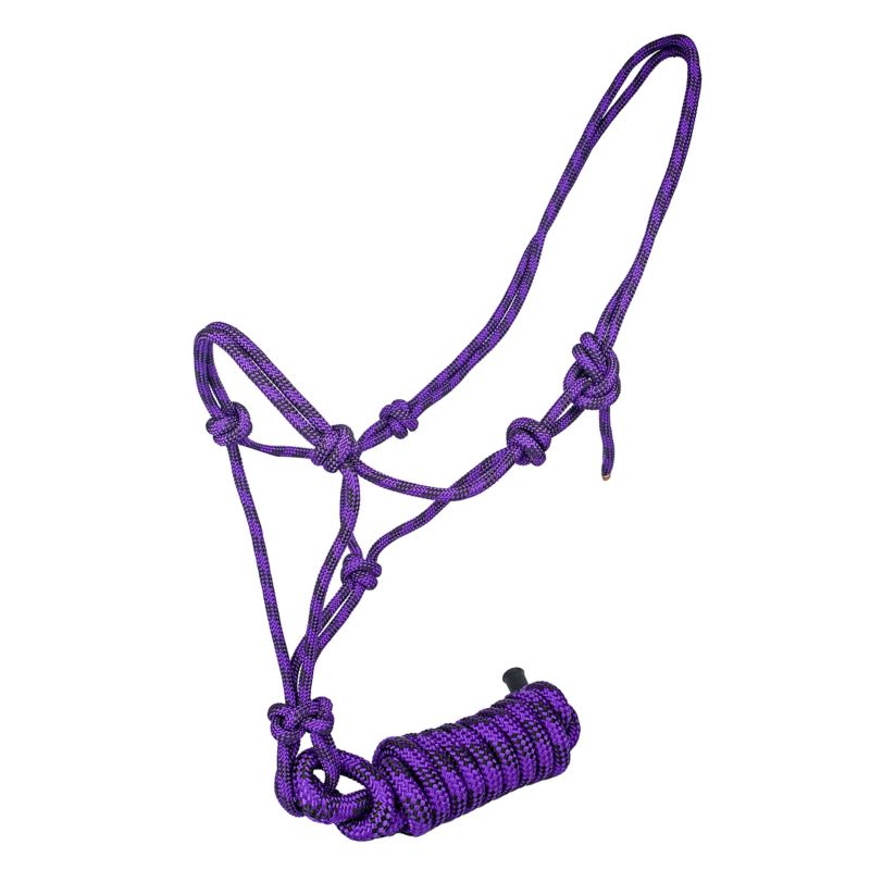 Purple rope halter with multiple knots and attached lead rope.