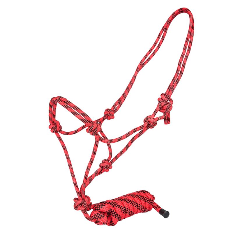 Red and black rope halter with knotted design.